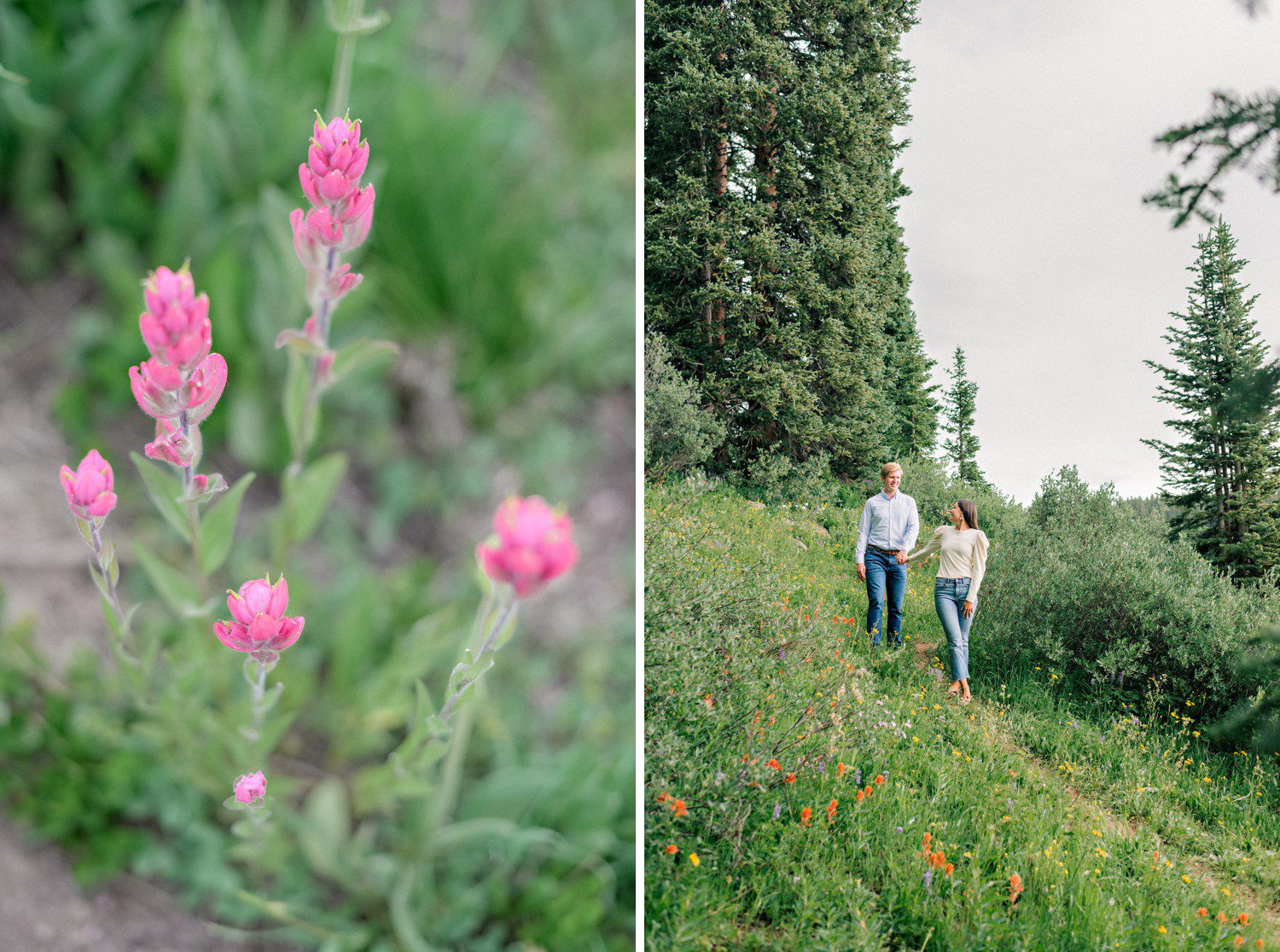Wildflower Engagement Photos in Vail Colorado