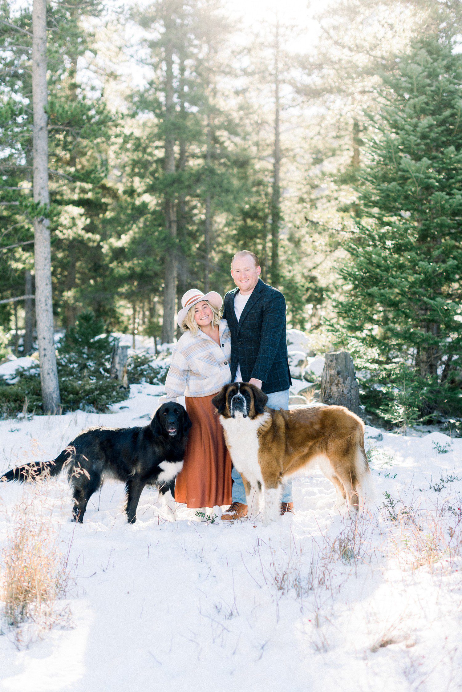 Couple with St. Bernard dogs for engagement photos at Officer's Gulch in CO.