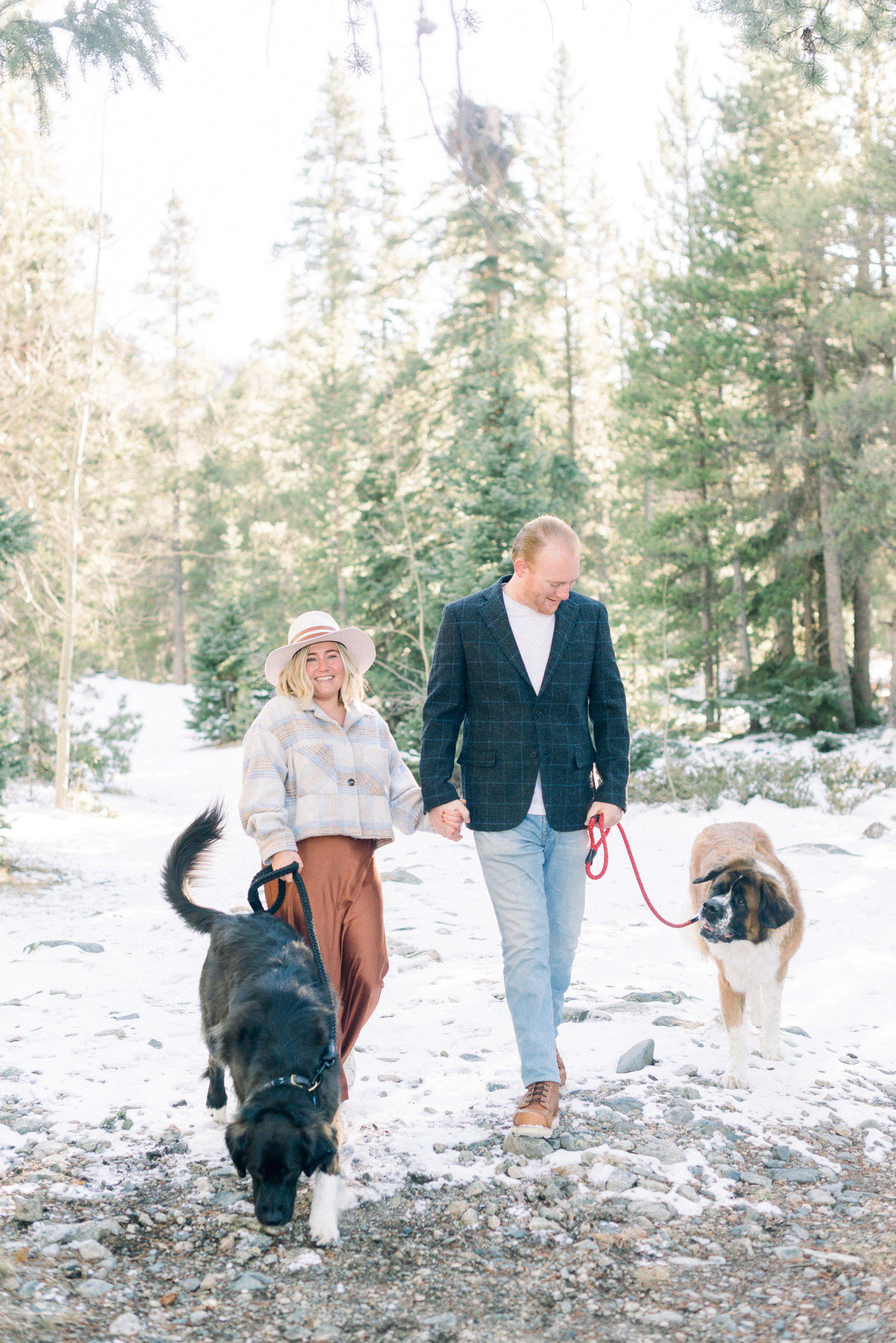 Vail engagement session with dogs at Officer's Gulch.
